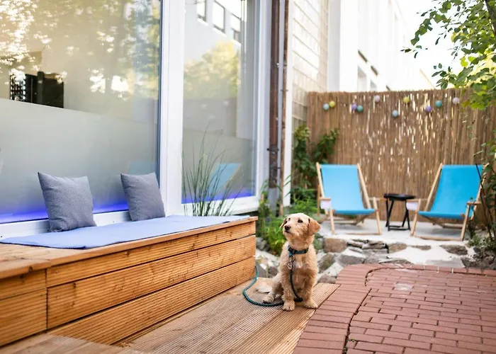 Дом отдыха Sova Кассель